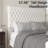 Mieya Queen Size Velvet Upholstered Sleigh Bed Platform Bed Frame-2083775710