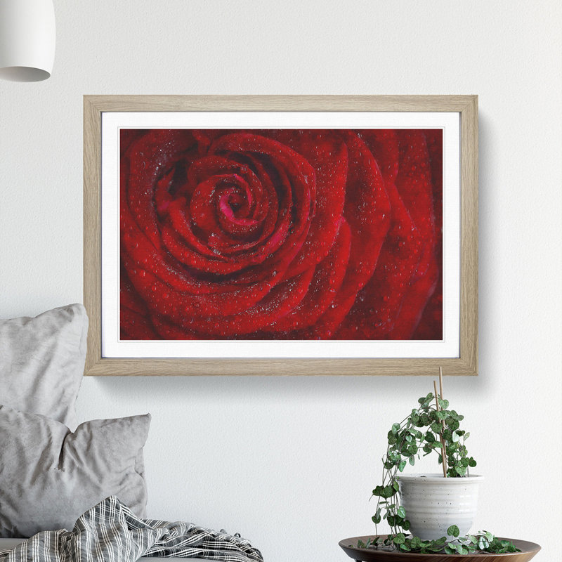 Dewdrops upon a Red Rose - Picture Frame Painting Print, 24cm H x 33cm W x 2cm D, Oak Framed