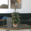 Sapin de Noël pré-éclairé Eastport-1405409097-1431522805
