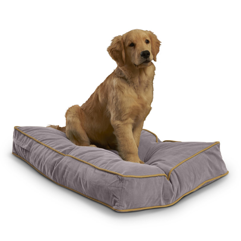 Lit pour chien Olivarez Classic, Petit (L 36 po x l 24 po x H 5 po), Fumée