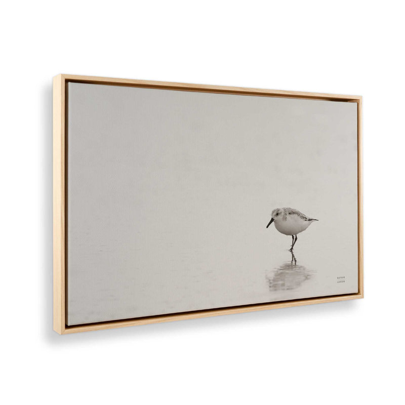 Impression sur toile Tybee Island Sanderling par Nathan Larson, Tanné, Cadre flottant, H 24 po x l 36 po
