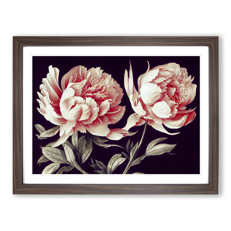 Flawless Peony Flowers - Single Picture Frame Print, 34cm H x 46cm W x 2cm D, Walnut