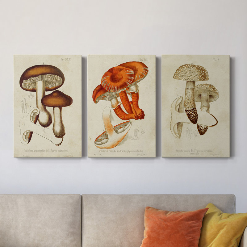 Toile tendue avec châssis Mushroom Variétés VI - prêt à accrocher, H 12 po x l 24 po x P 1 po