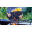 Belfry Kitchen Daniela Non-Stick Carbon Steel Wok