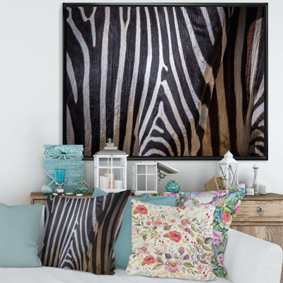 " Black And White Structure Of Zebra Skin "