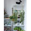 Eucalyptus artificiel suspendu-1853428707