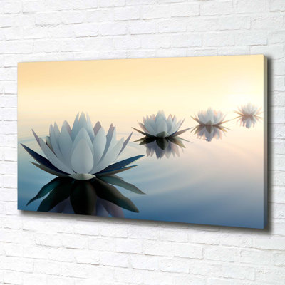 Lotus Flowers - Wrapped Canvas Print