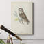 Petite chouette - impression sur toile tendue-1669904249