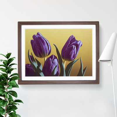 XH1022-7129X Precious Tulip Flowers - Single Picture Frame Print