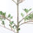 6FT Artificial Olive Tree for Indoor and Covered Outdoor Use