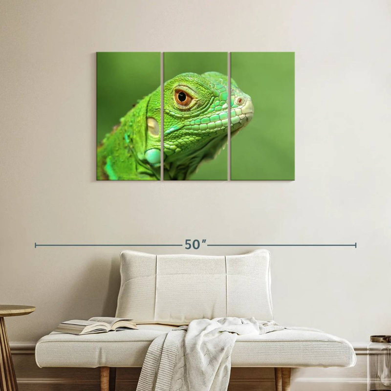 Green Lizard Closeup, 24" H x 38" W