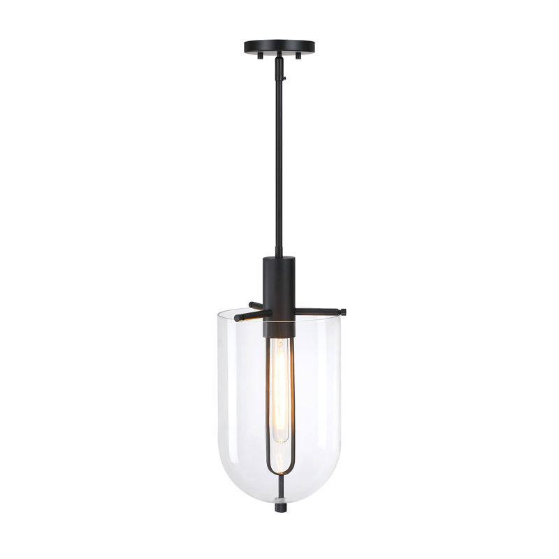Fieldsboro 60 Watt 1-Light Matte Black Down Pendant Light with Clear Glass Shade, 19.75" H x10" W x 9" D