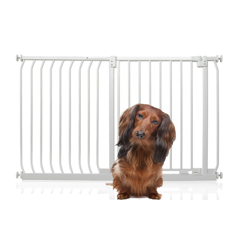 Metal Pressure Mounted Pet Gate, 134cm - 143cm, White