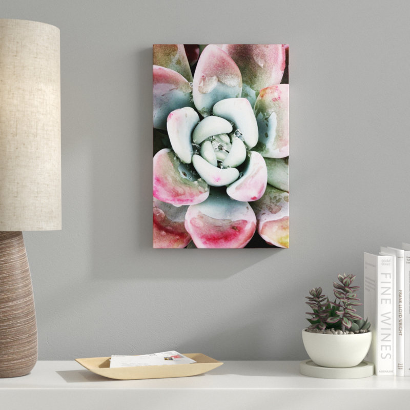 «Pastel Succulent Beauty V» par Irena Orlov, reproduction de photo sur toile, H 18 po x l 12 po, Toile tendue