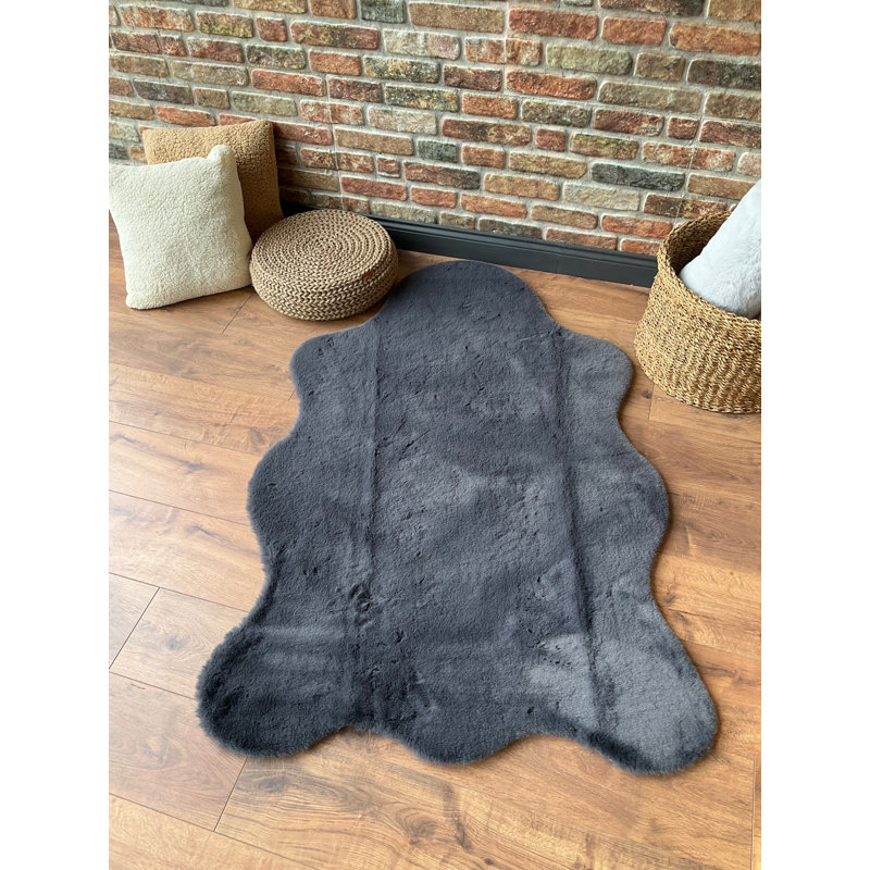 Tapis antibactérien lavable à la machine, couleur anthracite, 29,5 po x 39,4 po | 100% polyester, épaisseur: 1,2 po | Tapis durable, doux et élégant pour le salon, la chambre à coucher et la décoration intérieure