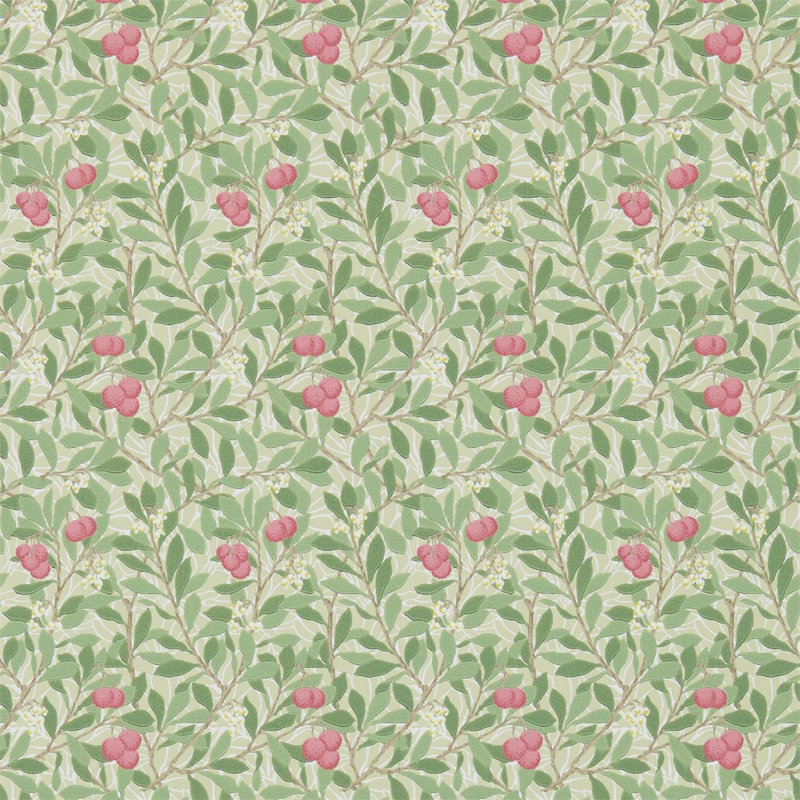 Arbutus Wallpaper, Olive/Pink