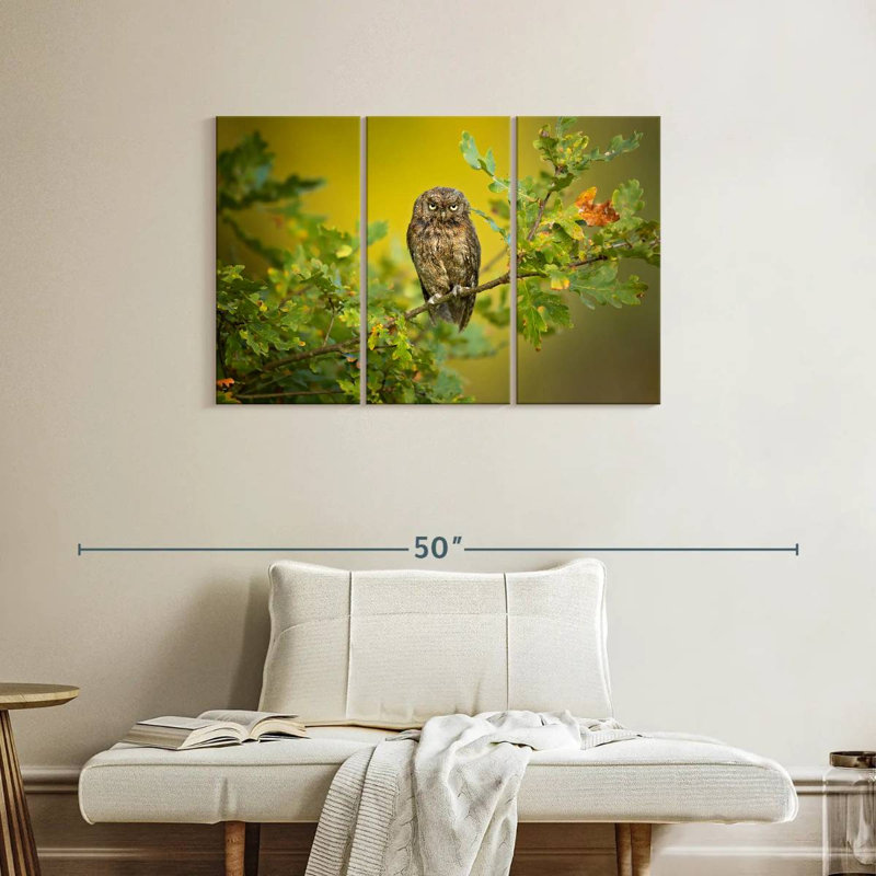 Brampt Owl Perching On Tree, 24" H x 38" W