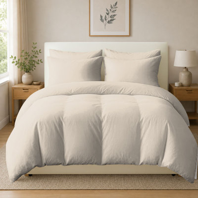 Cotton Bedding