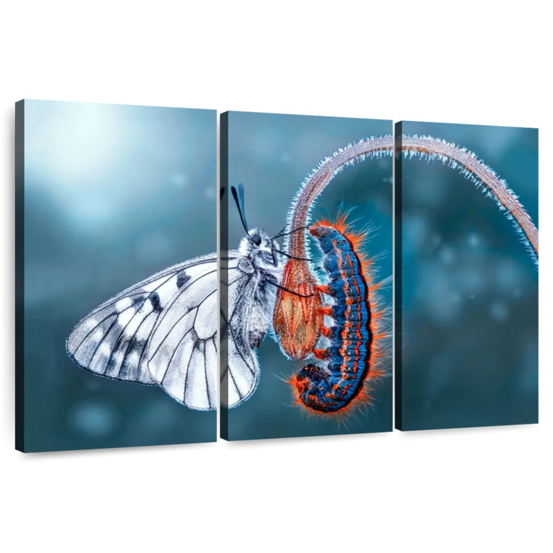 Brampt Butterfly Destiny, 24" H x 38" W