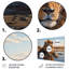 Lion se reposant au bord de la piscine d'eau - impression d'art mural lion-519312078-519312065