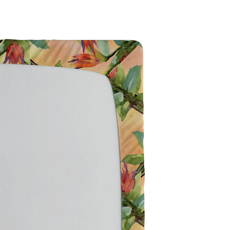 Drap-housse Ambesonne