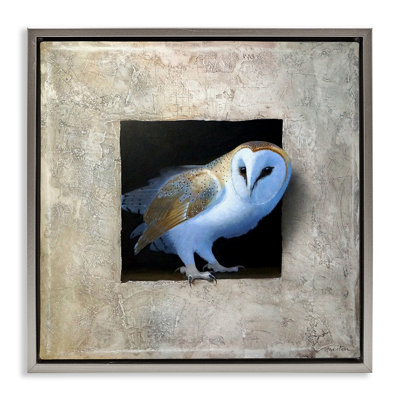 Mysterious Barn Owl Peering