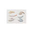 Forest Walk Note Card Assorted Set Of 6
