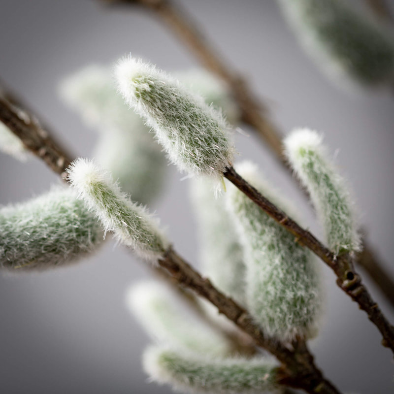 39" Artificial Pussy Willow Spray