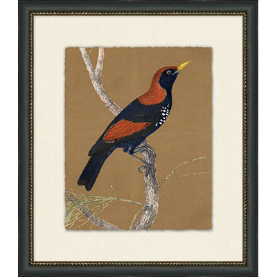Autumn Bird 6 Painting