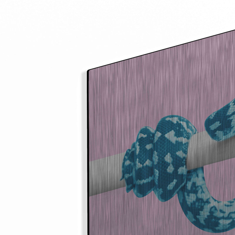 "Sneck 1" par Mark Ashkenazi, H 12 po x l 16 po