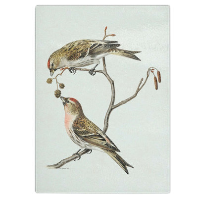 Tempered Glass Common Linnet Birds Chopping Board