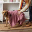 Tapis pour animaux Bangor Rose Paw-1148924690