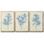 Verditer Fig I, ensemble de 3 toiles encadrées sur toile-1587005289-1587005291