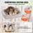 60'' H Cat Tree-101925098