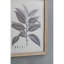 Ensemble de décorations murales botaniques 15,7 x 20,7 po pour la maison, le salon, la salle à manger, la chambre à coucher, le couloir, ensemble de 4