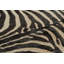 Modern Area Rug