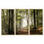 Forêt d'automne verte avec rayons de soleil - ensemble d'art mural sur toile encadré paysage-2128247312-2128247314