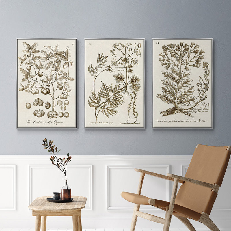 «Sepia Botanical Journal I», ensemble de 3 reproductions encadrées sur toile, H 27 po x l 54 po, Argent