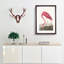 Pink Flamingo by John Audubon - Picture Frame Painting Print on MDF-55584064-55584065