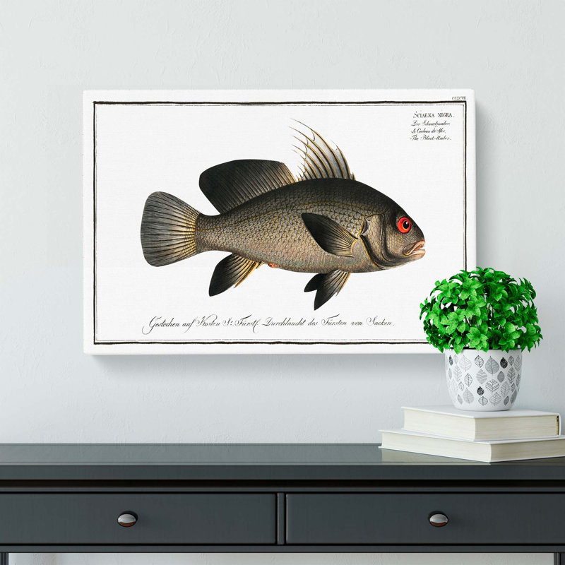 Black-Umber Fish by M.E. Bloch - Wrapped Canvas Painting, 35cm H x 50cm W x 3cm D