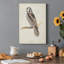 Canada Owl - impression sur toile tendue-1778319962
