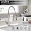 Robinet de cuisine à poignée simple avec douchette extractible et plaque de pont incluse en nickel brossé-116090212