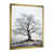 Gold Picture Frame