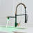 Fapully Pull Down Kitchen Faucet-73243239