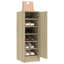 6 Pair Shoe Storage-1834485224