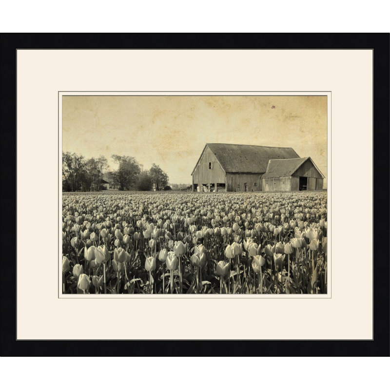 Barn and Field IV - Photographie encadrée sur papier