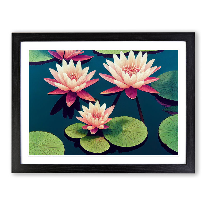 Spectacular Water Lily Flowers - Framed Print, Black, 46cm H x 64cm W x 2cm D