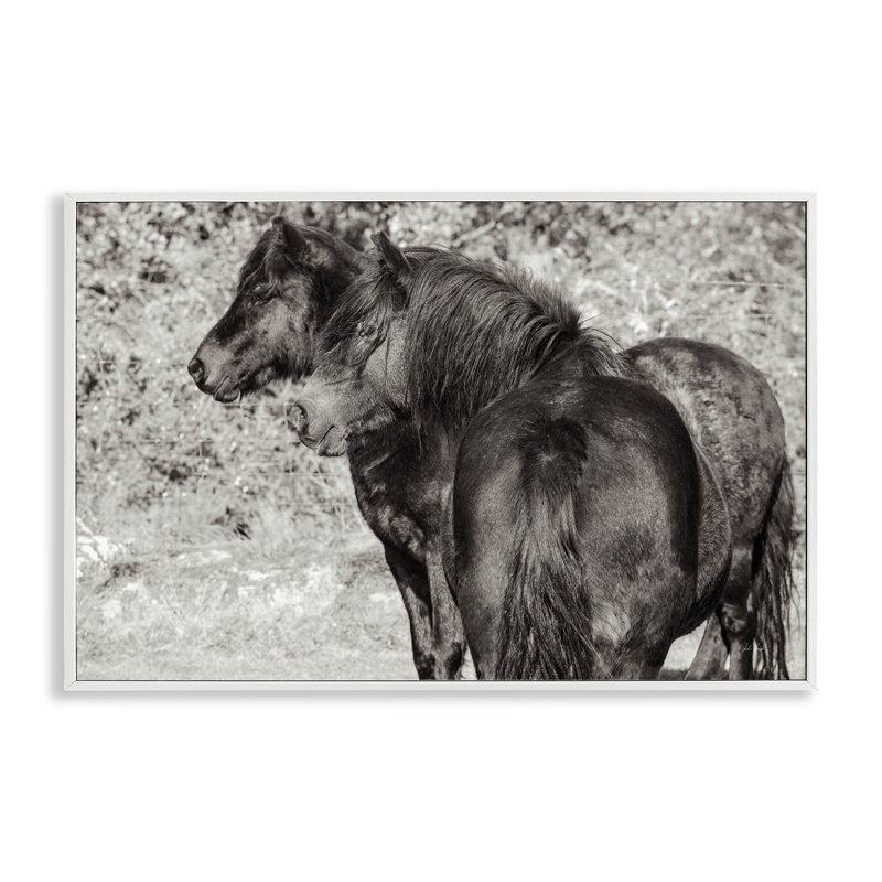 «Dartmoor Poneys Duo», estampe numérique de Deborah Revell, H 20 po x l 30 po, Estampe numérique encadrée blanc bord de mer
