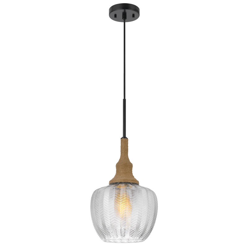 Luminaire suspendu en forme de dôme noir à 1 lumière Uniondale
