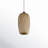 Alisson 1 - Light Black Shaded Pendant
